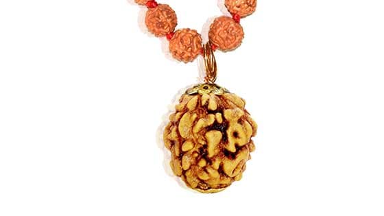 Chaar Mukhi/ Four faced Rudraksha - Lab Certified