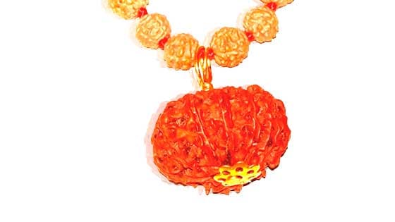 Dus Mukhi / Ten Faced Rudraksha - Lab Certified