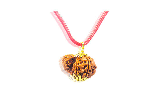 Garbh-Gauri Rudraksha