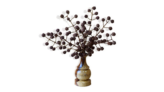 Rudraksh Tree (108 Natural Beads)