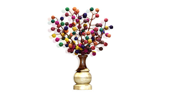 Rudraksha Tree (108 Multicolored Beads)