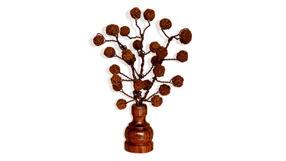 Rudraksha Tree (27 Beads Natural)