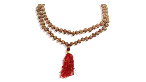 Nau Mukhi Rudraksha Mala (108 Beads)