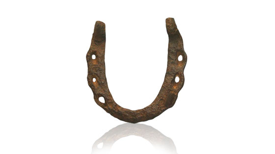Black Horseshoe / Kale Ghode Ki Naal