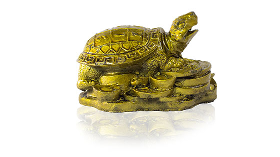 Feng Shui Tortoise