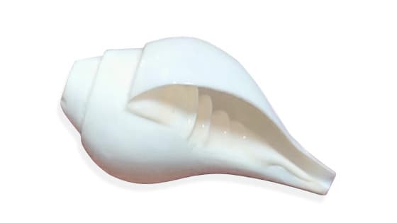 Blowing Shankh (5 inch)