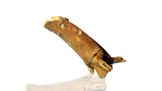 Ashwagandha Mool / Asgandh Mool